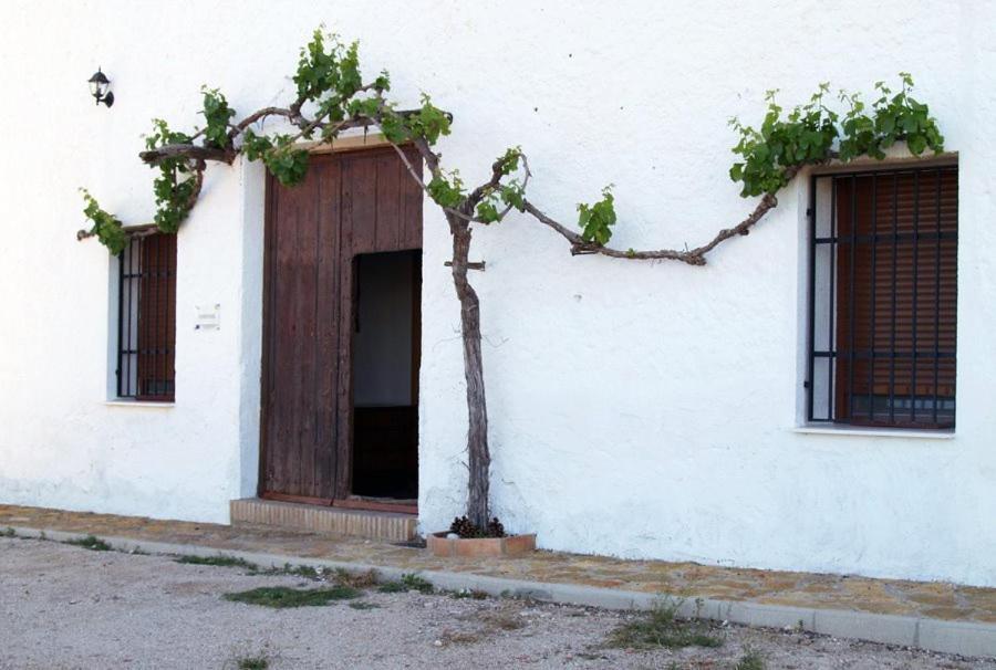 Casa Rural Casa Máxima Yecla Quarto foto